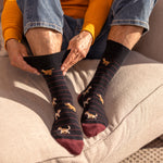 Load image into Gallery viewer, 3 Pairs Men&#39;s Fun Feet Cotton Socks - Team Dog
