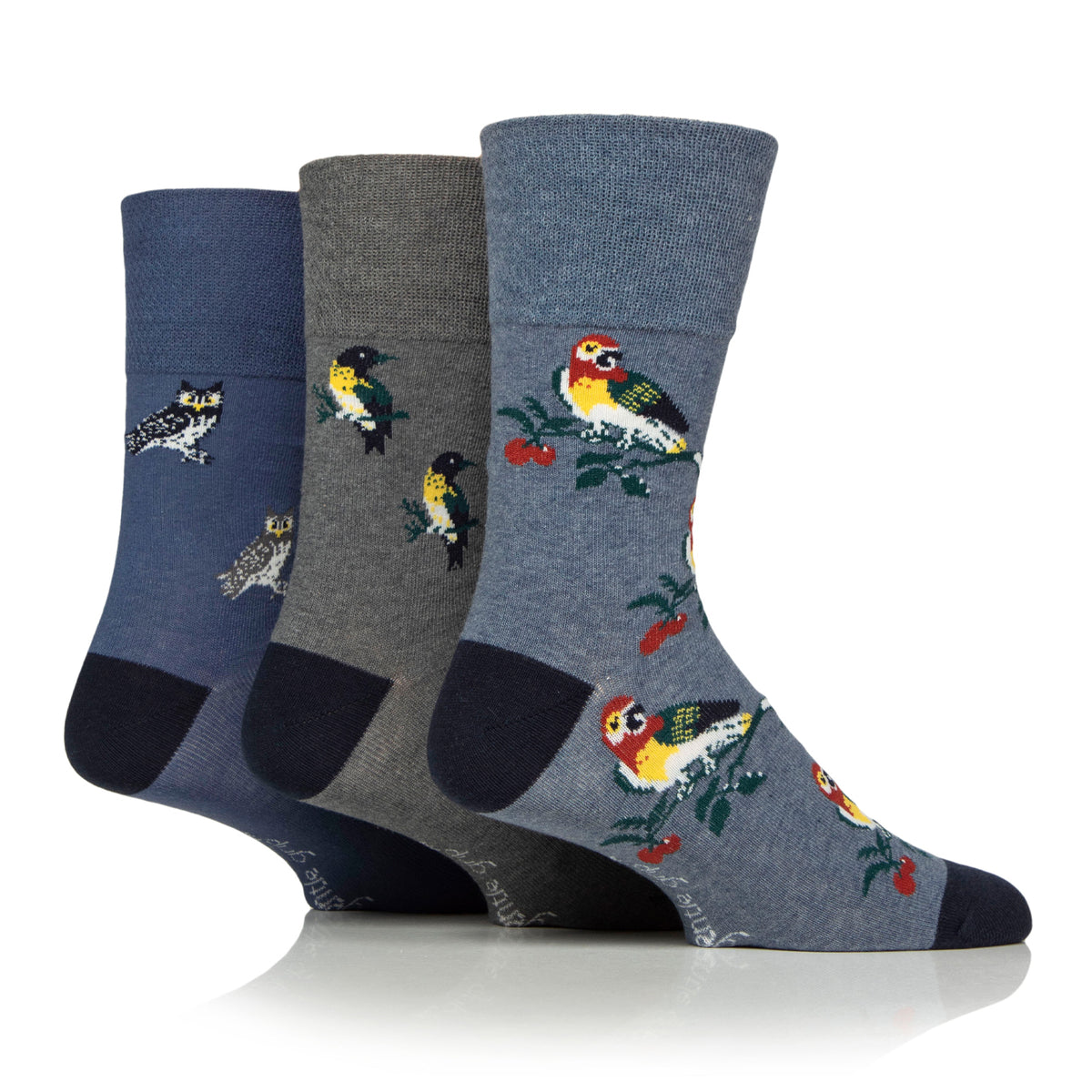 3 Paar Herrensocken aus Baumwolle von RHS – Insekten