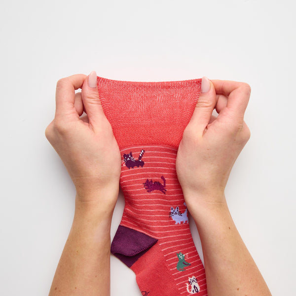 3 Pairs Ladies Fun Feet Cotton Socks - I'm a Cat Person