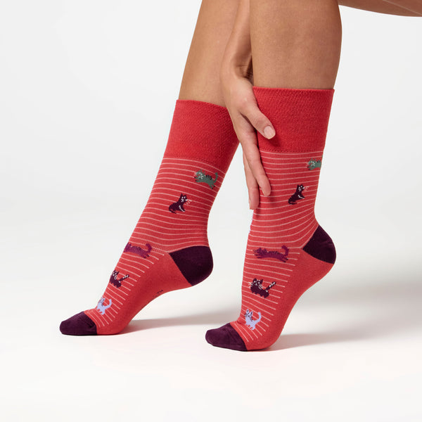 3 Paar Fun Feet Baumwollsocken für Damen – Ich bin ein Katzenmensch