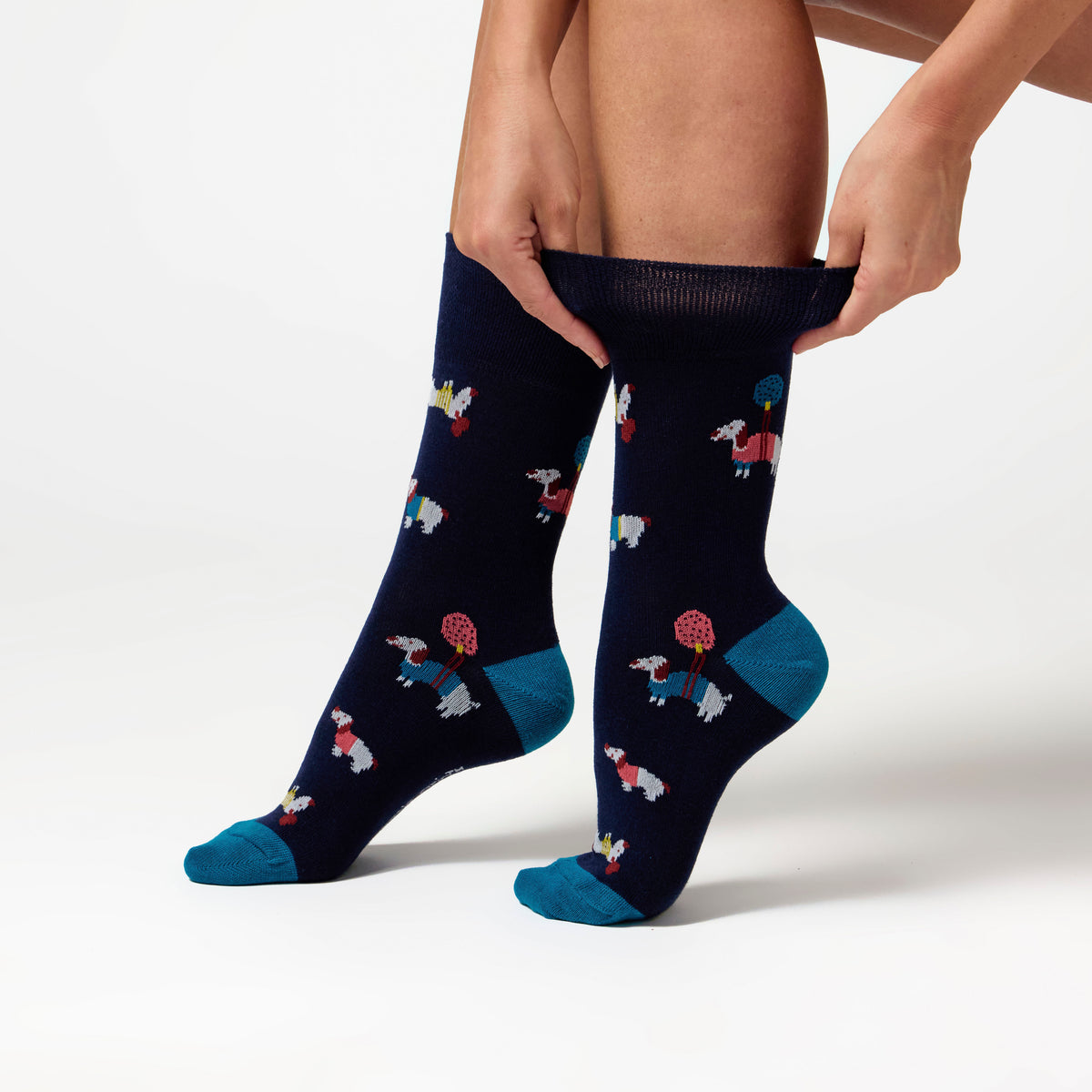 3 Pairs Ladies Fun Feet Cotton Socks - I'm a Dog Person